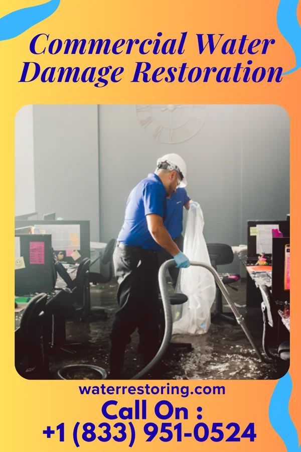 Commercial Water Damage Restoration in Bellwood, IL