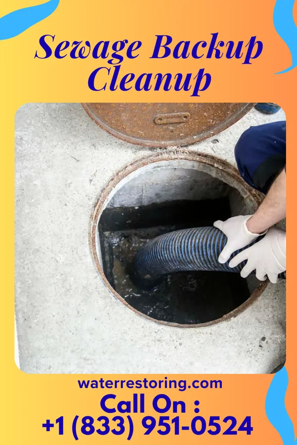 Sewage Backup Cleanup in Bellwood, IL