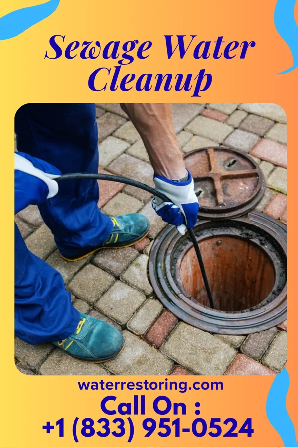 Sewage Water Cleanup in Bellwood, IL