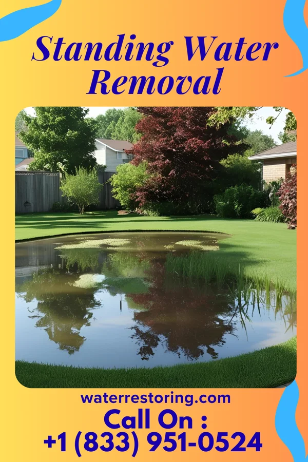 Standing Water Removal in Bellwood, IL